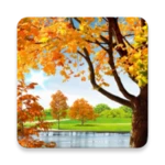 autumn pond live wallpaper android application logo